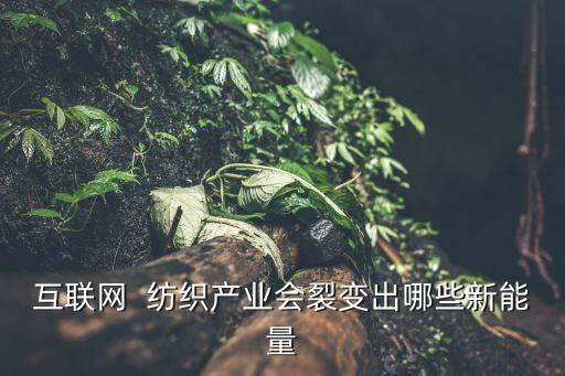 互聯(lián)網(wǎng)  紡織產(chǎn)業(yè)會(huì)裂變出哪些新能量