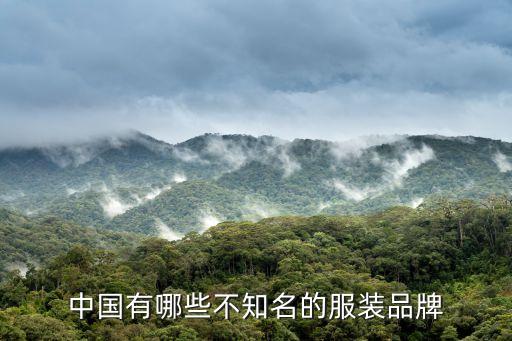 浙江朗莎爾維迪制衣有限公司 手機