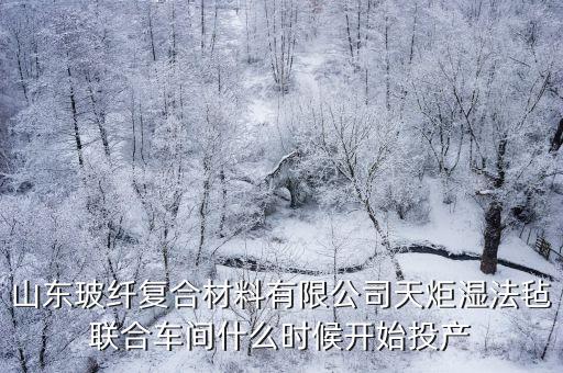 山東玻纖復(fù)合材料有限公司天炬濕法氈聯(lián)合車間什么時候開始投產(chǎn)