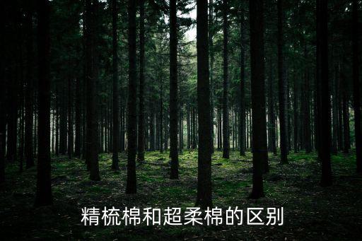  精梳棉和超柔棉的區(qū)別