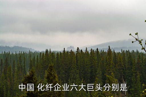 江蘇文鳳化纖集團(tuán)有限公司,江蘇江南化纖集團(tuán)有限公司