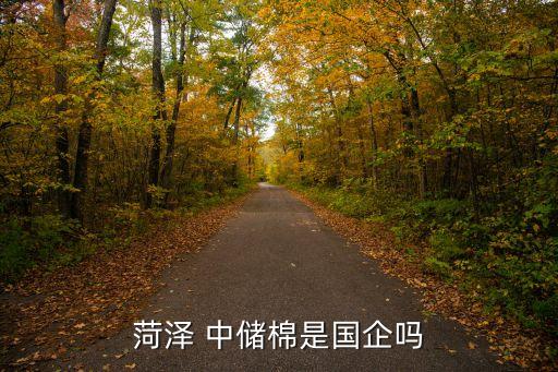 中儲(chǔ)棉阜陽(yáng)有限公司,天津中儲(chǔ)棉有限公司