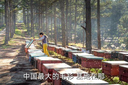 中國最大的毛衫 基地在那