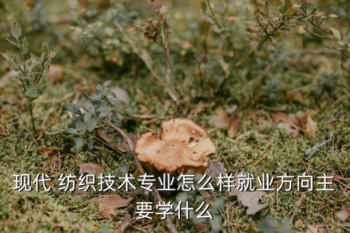 現(xiàn)代 紡織技術(shù)專業(yè)怎么樣就業(yè)方向主要學(xué)什么