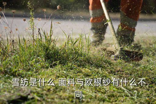  雪紡是什么 面料與歐根紗有什么不同