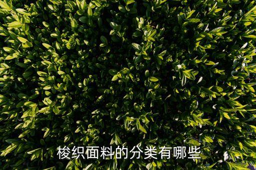  梭織面料的分類有哪些