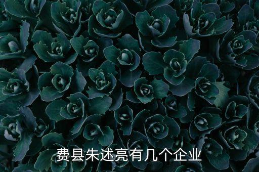 費縣朱述亮有幾個企業(yè)