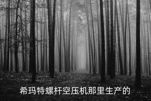 ?，斕芈輻U空壓機(jī)那里生產(chǎn)的