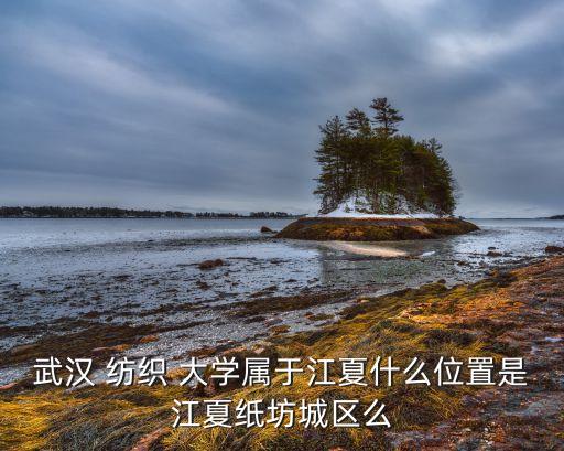 武漢 紡織 大學(xué)屬于江夏什么位置是江夏紙坊城區(qū)么