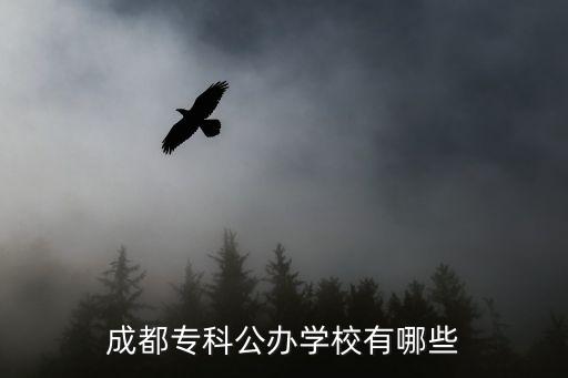 成都?？乒k學(xué)校有哪些