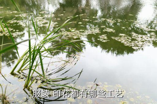 服裝 印花都有哪些工藝