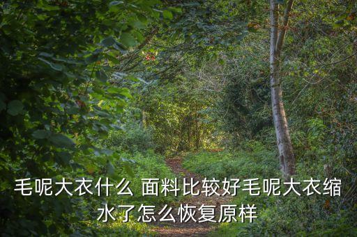 羊毛面料市場(chǎng)