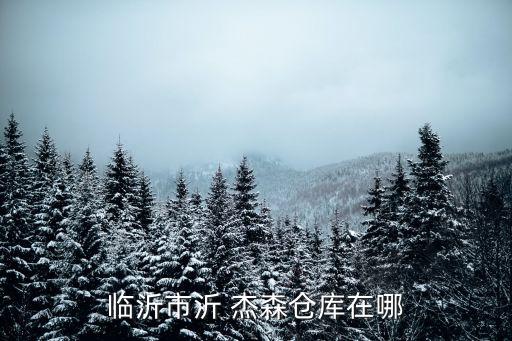 臨沂市沂 杰森倉庫在哪