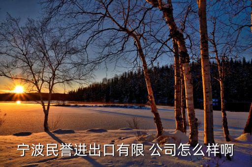 寧波民譽進出口有限 公司怎么樣啊
