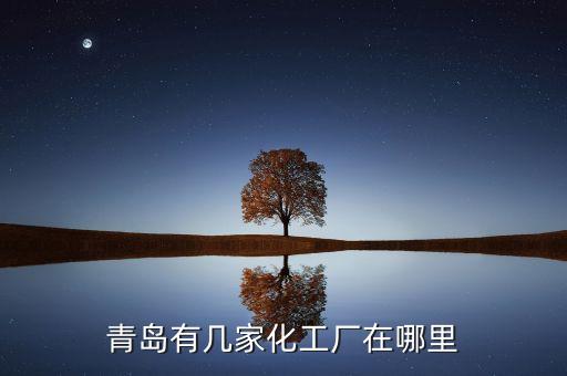 青島有幾家化工廠在哪里