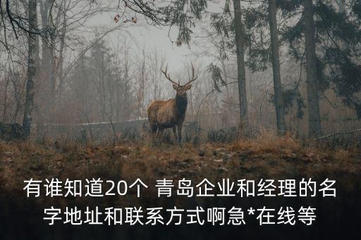 有誰知道20個(gè) 青島企業(yè)和經(jīng)理的名字地址和聯(lián)系方式啊急*在線等