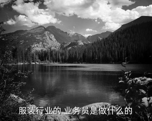 服裝行業(yè)的 業(yè)務(wù)員是做什么的