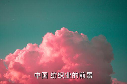 中國 紡織業(yè)的前景