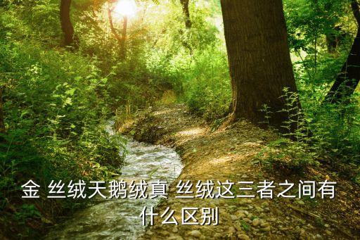 金 絲絨天鵝絨真 絲絨這三者之間有什么區(qū)別