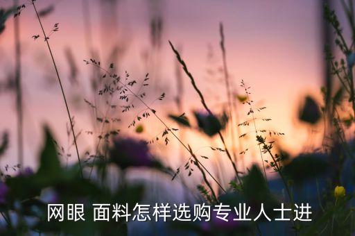  網(wǎng)眼 面料怎樣選購(gòu)專業(yè)人士進(jìn)
