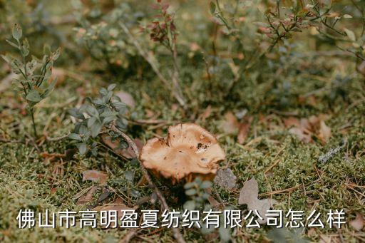 廣東紡織品交易網(wǎng),廣東二手摩托車交易網(wǎng)