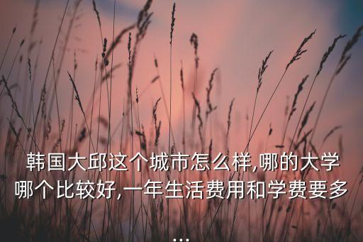  韓國大邱這個城市怎么樣,哪的大學哪個比較好,一年生活費用和學費要多...