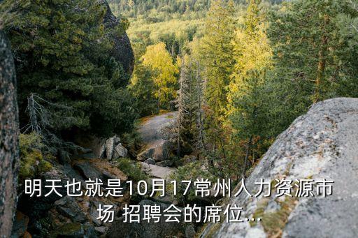 明天也就是10月17常州人力資源市場 招聘會的席位…