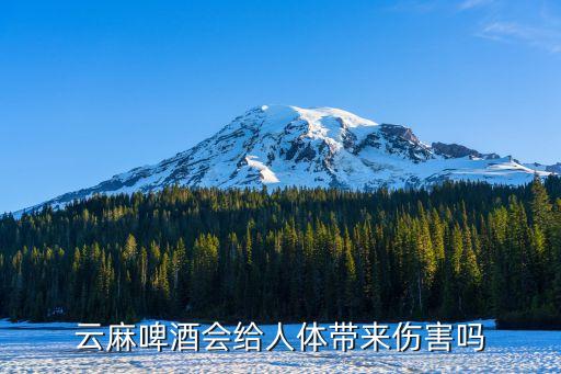 云麻啤酒會給人體帶來傷害嗎
