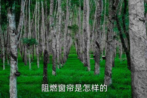 阻燃面料網(wǎng),芳綸阻燃面料