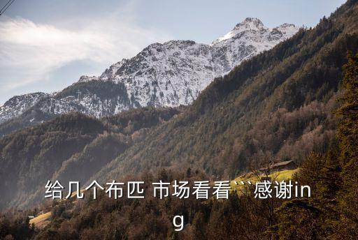 給幾個布匹 市場看看```感謝ing