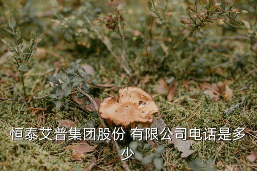 恒泰艾普集團(tuán)股份 有限公司電話是多少
