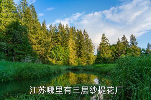 江蘇中恒紡織有限責(zé)任公司