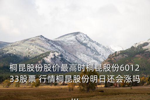 桐昆股份股價(jià)最高時(shí)桐昆股份601233股票 行情桐昆股份明日還會(huì)漲嗎...