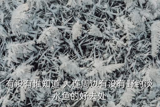 有沒有誰(shuí)知道 大連周邊有沒有野釣淡水魚的好去處