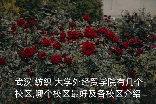  武漢 紡織 大學外經(jīng)貿學院有幾個校區(qū),哪個校區(qū)最好及各校區(qū)介紹