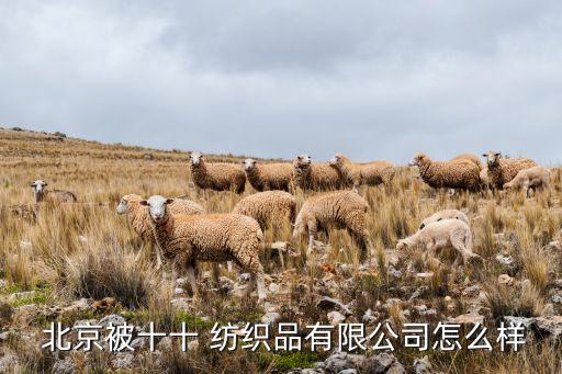  北京被十十 紡織品有限公司怎么樣
