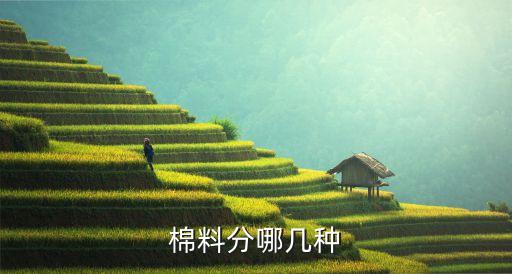 紡織類純棉的有哪些