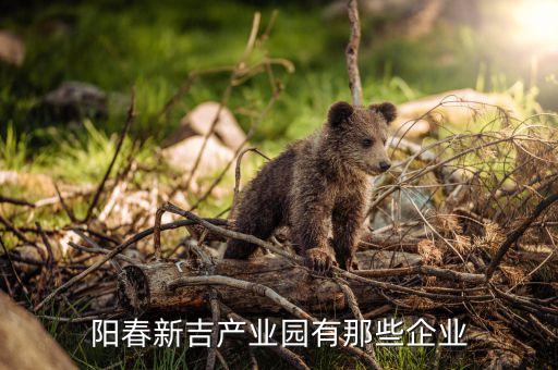 廣大紡織實(shí)業(yè)發(fā)展有限公司,樂祺紡織實(shí)業(yè)(無錫)有限公司