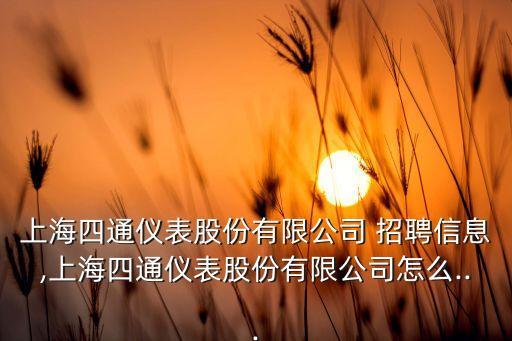 上海四通儀表股份有限公司 招聘信息,上海四通儀表股份有限公司怎么...
