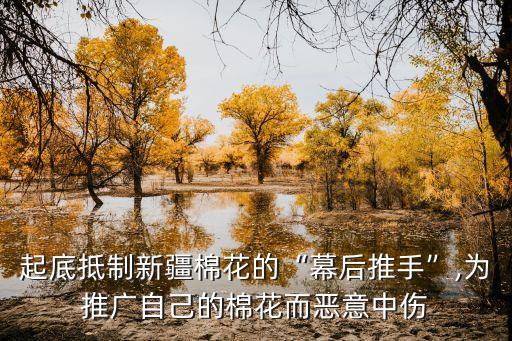 起底抵制新疆棉花的“幕后推手”,為推廣自己的棉花而惡意中傷