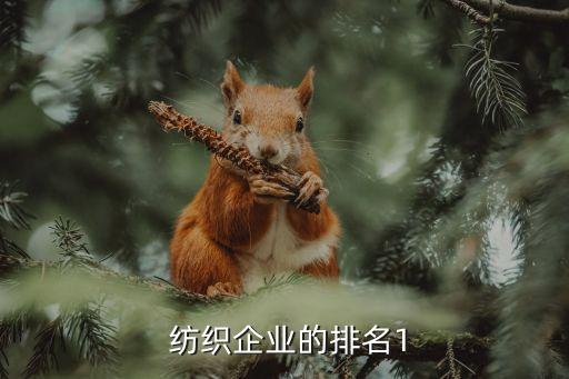  紡織企業(yè)的排名1