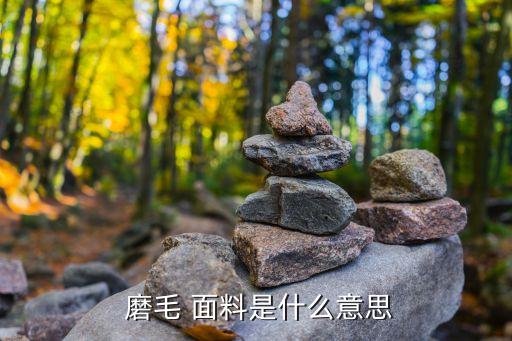  磨毛 面料是什么意思
