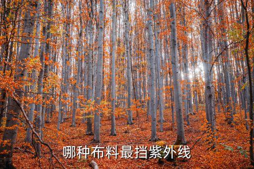 哪種布料最擋紫外線
