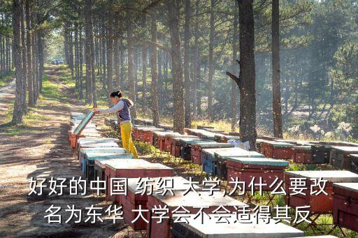 紡織大學(xué)領(lǐng)導(dǎo),武漢紡織大學(xué)怎么樣