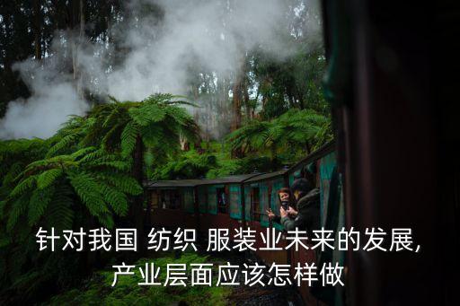 針對我國 紡織 服裝業(yè)未來的發(fā)展,產(chǎn)業(yè)層面應(yīng)該怎樣做