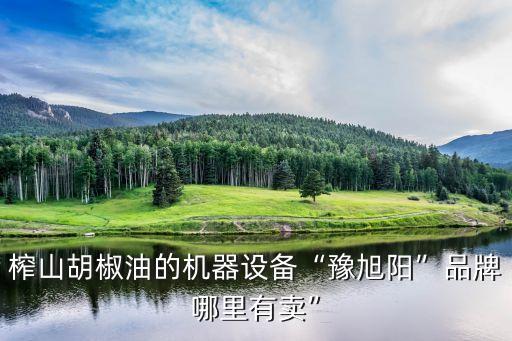 榨山胡椒油的機(jī)器設(shè)備“豫旭陽”品牌哪里有賣”