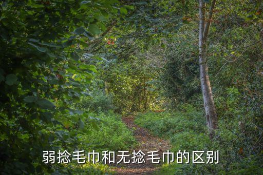 弱捻毛巾和無捻毛巾的區(qū)別