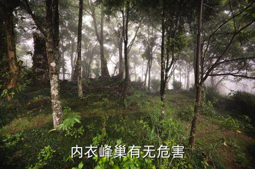 蜂巢面料,暗紋蜂巢面料