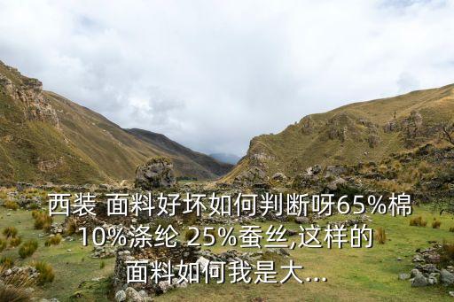  西裝 面料好壞如何判斷呀65%棉 10%滌綸 25%蠶絲,這樣的 面料如何我是大...