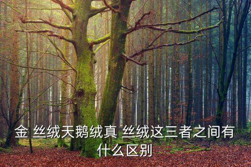 金 絲絨天鵝絨真 絲絨這三者之間有什么區(qū)別